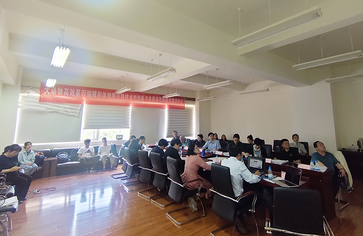 大动物高效基因编辑和体细胞克隆技术的创新与应用 anli.jpg